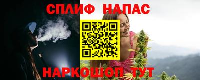 спиды Дубна