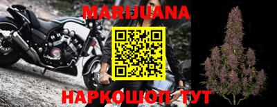 спиды Дубна