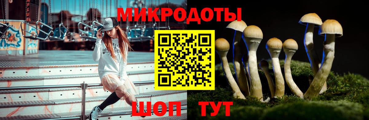 Галлюциногенные грибы ЛСД  Вход с VPN  Кемерово  Галлюциногенные грибы мицелий 